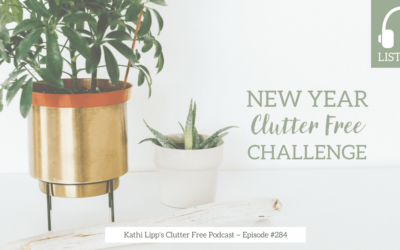 Podcast Eps: #284: New Year Clutter Free Challenge