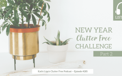 Podcast Eps: #285: New Year Clutter Free Challenge, Part 2