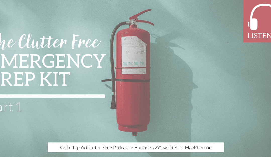 Eps #291: The Clutter Free Emergency Prep Kit – Part 1