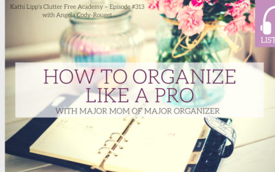 Eps. #313: How to Organize Like a Pro with Major Mom of Major Organizer