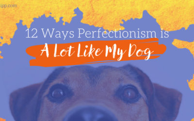 12 Ways Perfectionism is a Lot Like My Dog
