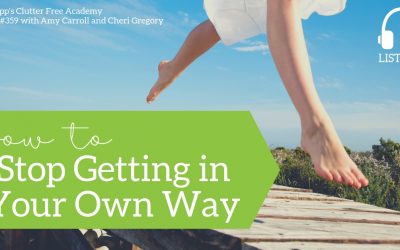 #359 How to Stop Getting in Your Own Way with Amy Carroll and Cheri Gregory