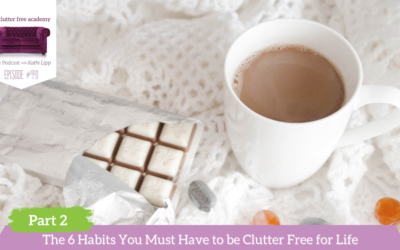 441 The 6 Habits You Must Have to be Clutter Free for Life Part 2