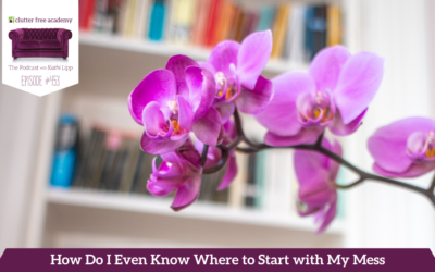 453 How Do I Even Know Where to Start with My Mess – Questions with Kathi and Kelly