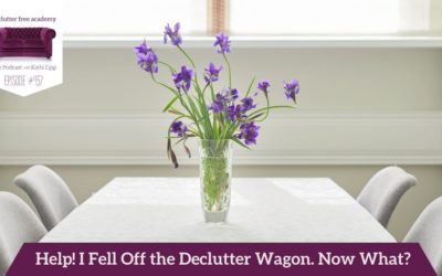 457 Help! I Fell Off the Declutter Wagon. Now What? Questions with Kathi and Kelly