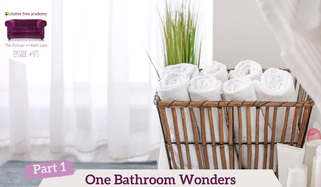 474 One Bathroom Wonders with Tonya Kubo Part 2