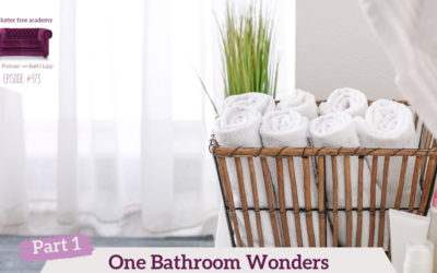 474 One Bathroom Wonders with Tonya Kubo Part 2