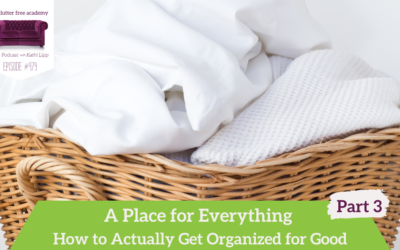 479 A Place for Everything: How to Actually Get Organized for Good Part 3