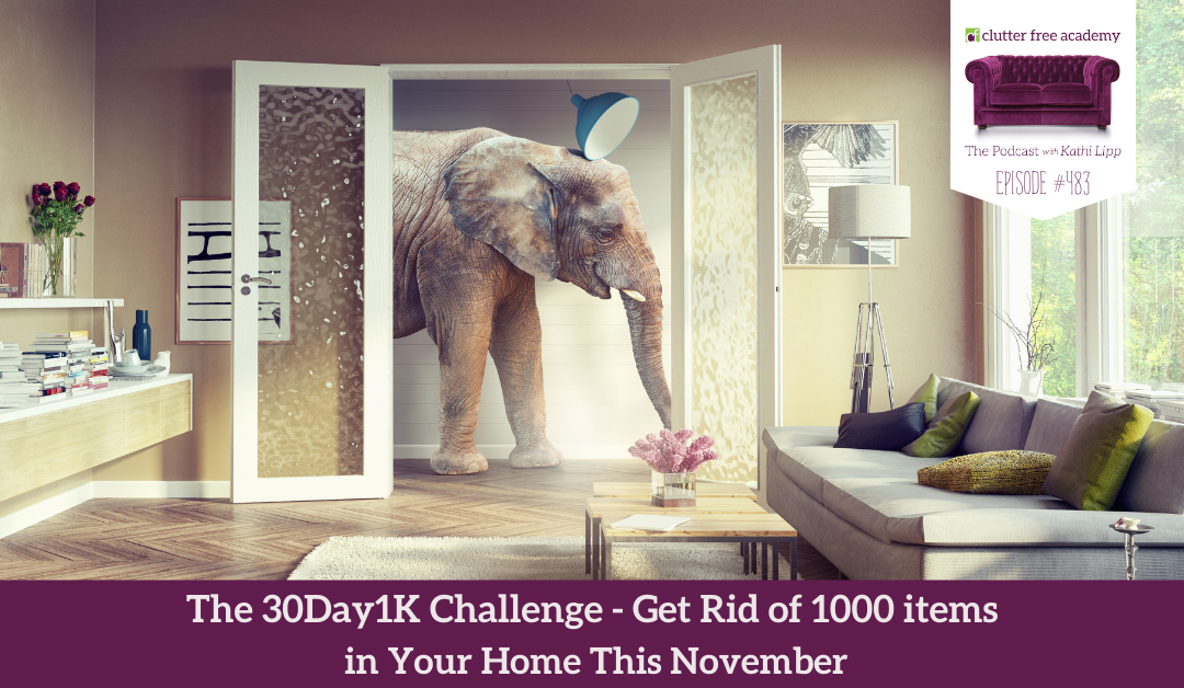 483 The 30 Day 1K Challenge Getting Rid of 1000 Items in Your Home This November