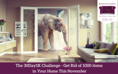 483 The 30 Day 1K Challenge Getting Rid of 1000 Items in Your Home This November